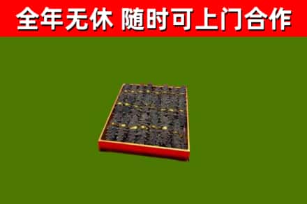 阜城回收海参